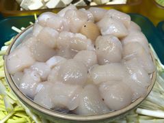 带子-海派美食·家宴海鲜青岛菜·石锅鲽鱼头(东方城店)