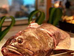 龙趸鱼-济南香格里拉·咖啡泉自助餐厅