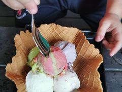 -莓园冰淇淋店