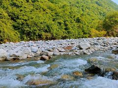 -秦岭风景区