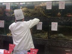 -宝燕壹号(徐汇店)