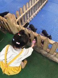 -萌宠亲子动物乐园(槐房万达店)