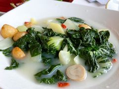 粥水煮当季时蔬-正佳广场万豪酒店-粤菜餐厅·点心·海鲜·聚餐