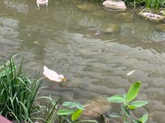 -活水公园