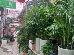 -武汉花鸟市场