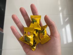 -泓历皇朝酒店(东亭店)