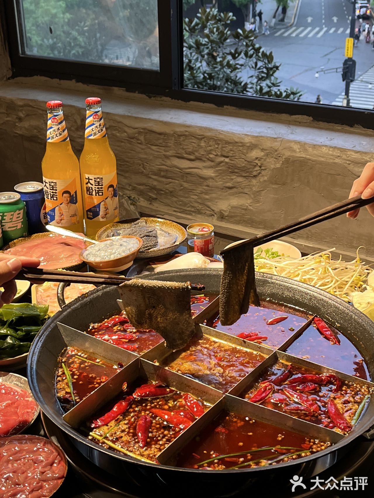 一边吃火锅，一边撸猫是种什么体验！