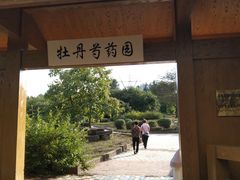 -黑龙江省森林植物园