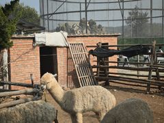 -清风小镇闯关东影视基地