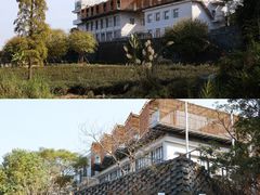 -美的鹭湖森林度假区