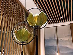 -Lotus 莲花空间(国贸商城店)