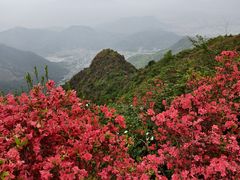 -瑞安圣井山景区