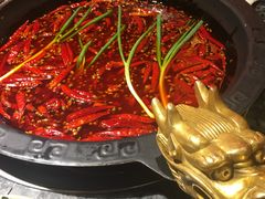 -蜀大侠火锅(建设路第五大道店)