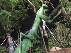 -苏州乐园森林水世界