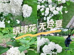 -玄武湖景区-情侣园游乐场