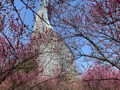 -安徽广播电视台