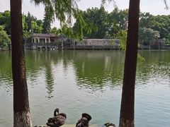 -东莞市可园博物馆