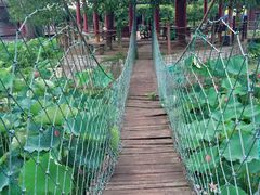 -舟山甬东休闲鱼庄(农家乐)