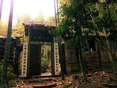 -东明山森林公园