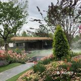 花开中国梦[加油][礼花][礼花][礼花]