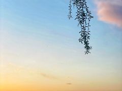 -丁香湖公园