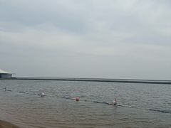 -碧海金沙
