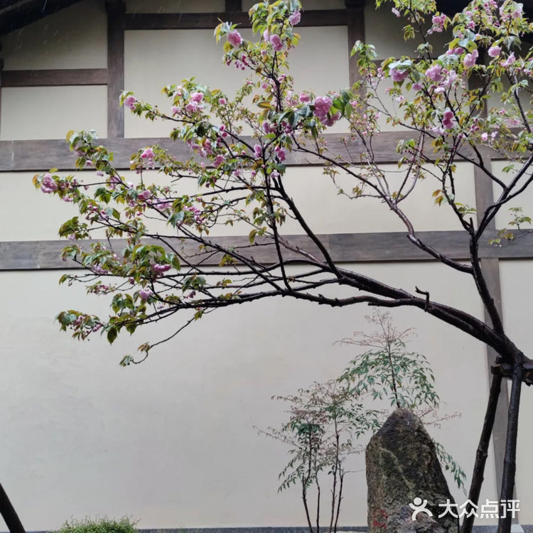 [色]未下山｜藏在宋式庭院里的神仙湘菜