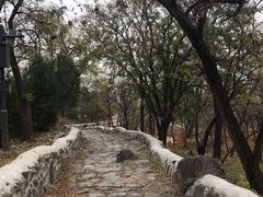 -阳台山自然风景区