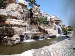 -石家庄市植物园
