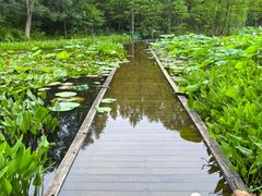 -长广溪湿地公园