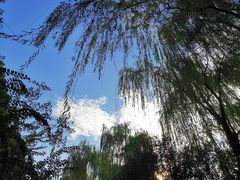 -后襄河公园