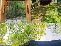 -上海佘山国家森林公园天马山园