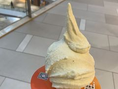 -野人先生现做冰淇淋(北京环宇荟店)