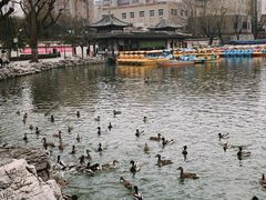-团结湖公园