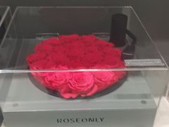 -ROSEONLY诺誓(国际广场购物中心店)
