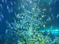 -波塞冬海底世界