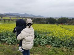 -光明小镇欢乐田园