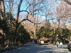 -灵谷景区