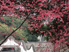 -乌山风景区