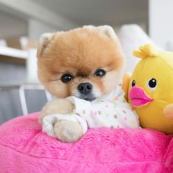 -HEYAN荷妍专业脱毛连锁机构