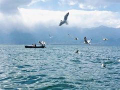 -大理洱海