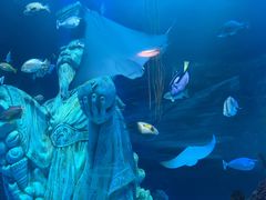 -沈阳海洋探索中心