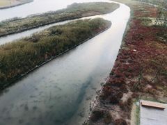 -春花秋色城市公园