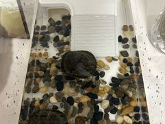 -双季花艺园艺市场(浦东店)