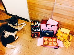 -Gucci(北京金融街购物中心店)
