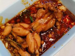 -蛙两只美蛙鱼头火锅(恒茂店)