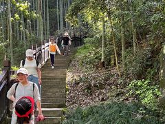 -五泄景区