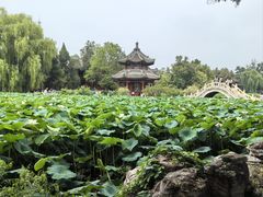 -莲池书院博物馆
