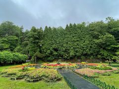 -庐山风景区花径公园