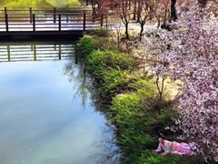 -洛阳市隋唐城遗址植物园
